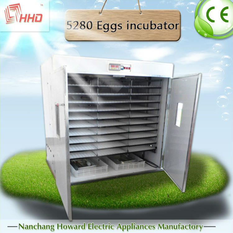 Egg Setter And Hatcher/chicken Incubator/quail Incubator - Buy Setter 