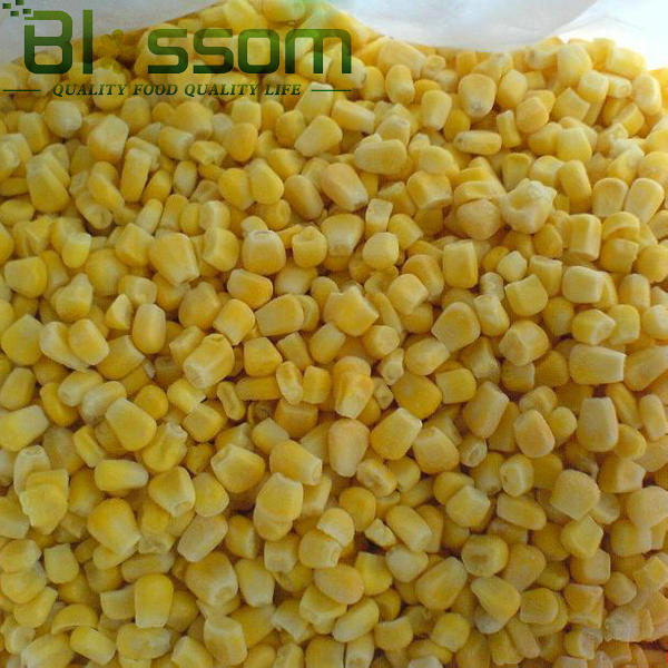 Export china hight quality products food frozen sweet corn vegetable 2014 new product