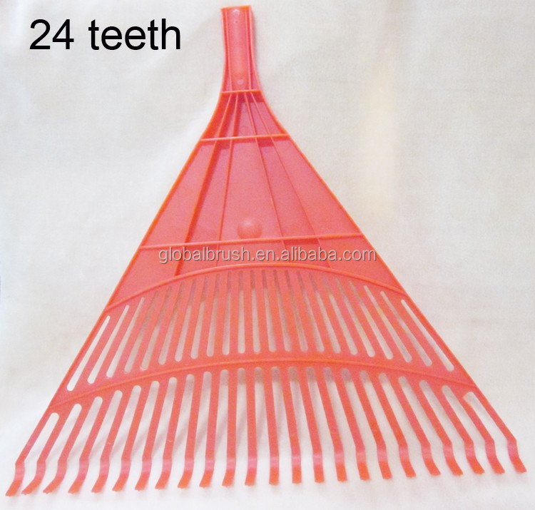 24 teeth.jpg