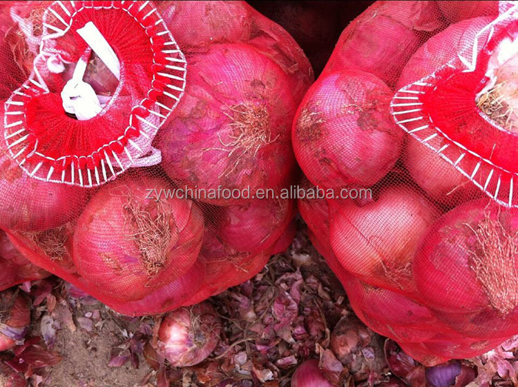 Fresh Red Onion Chinese Bulk Onion Hot Sale