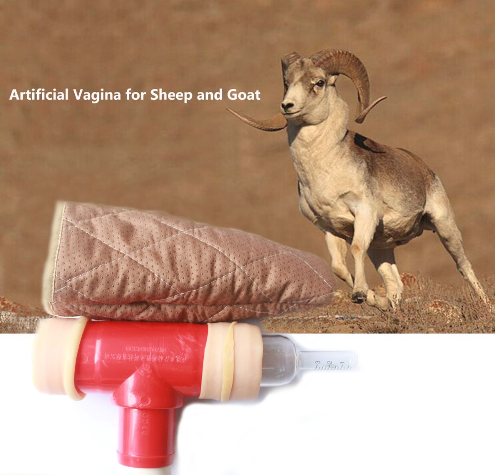 2019 New Quality Artificial Vagina For Sheep And Goat Buy 2019 New