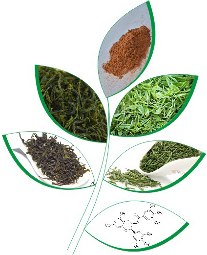 40% Tea Polyphenols for healthy or drinking black tea extract powder
