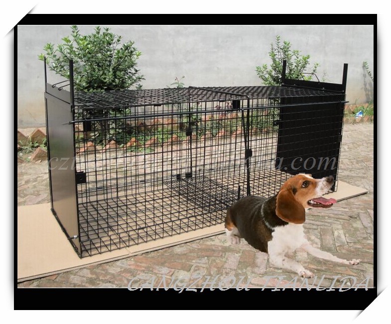 Collapsible Large Live Animal Trap Cage/live Dog Trap Cage/humane
