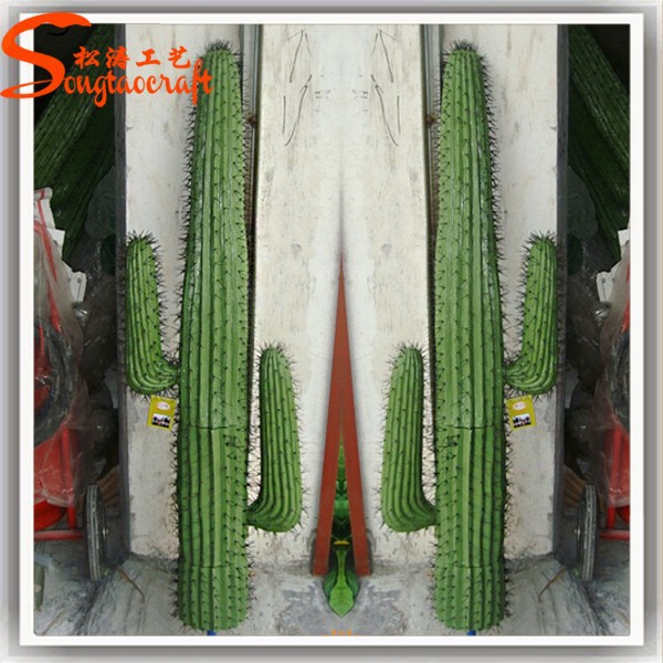 décoration jardin cactus
