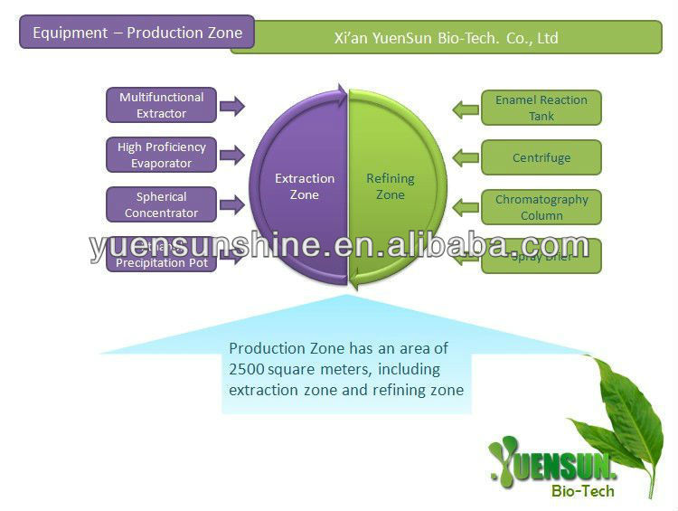 GMP green tea extraction polyphenols powder 50%-98%