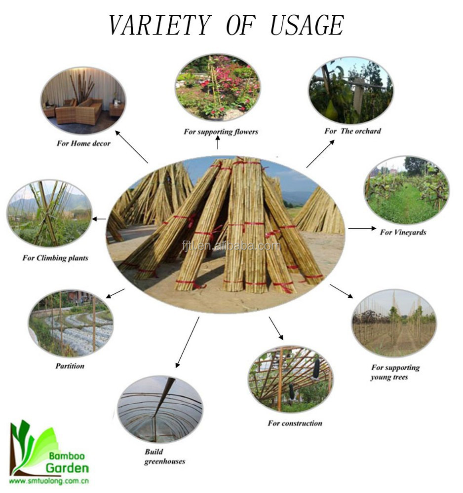 Natural Bamboo Poles For Good Construction Scaffolding Material Buy