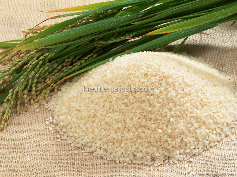 Automatic Artificial Rice Machine