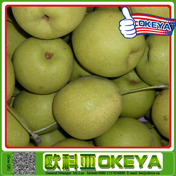 Top Quality Sweet Juicy hot sales sliced pears in syrup