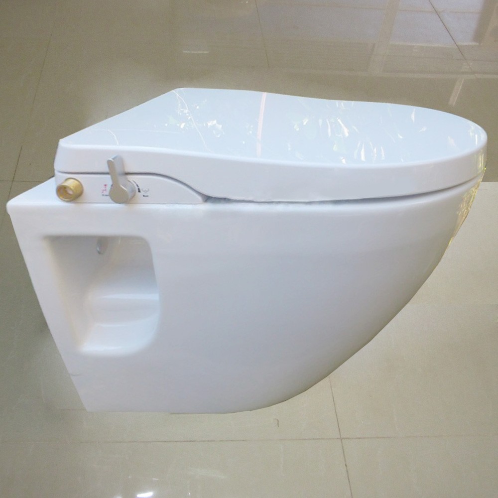 Muro sanitari sospesi wc bidet, muro in ceramica montato bagno wc ...