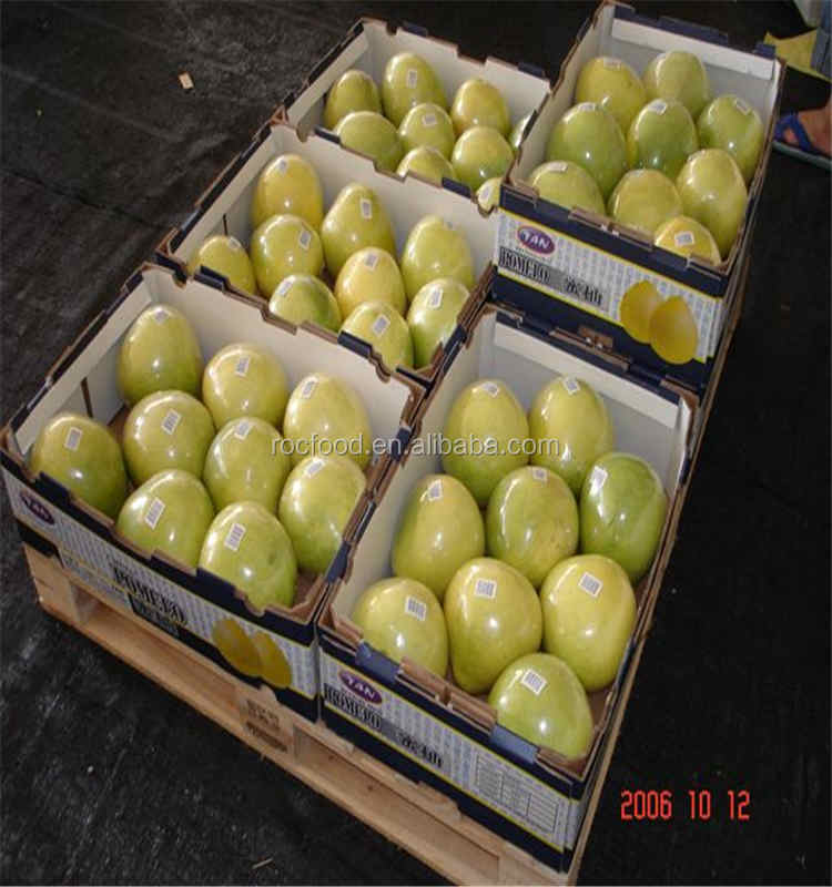 new harvest fresh citrus fruit guanxi honey pomelo price