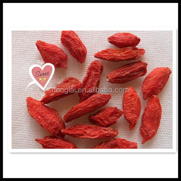 china goji berries/fresh dried goji berry/medlar