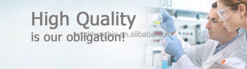 Free sample for test HACCP GMP FDA KOF-K certified company Hot sale advantage product <10% cocoa catechin