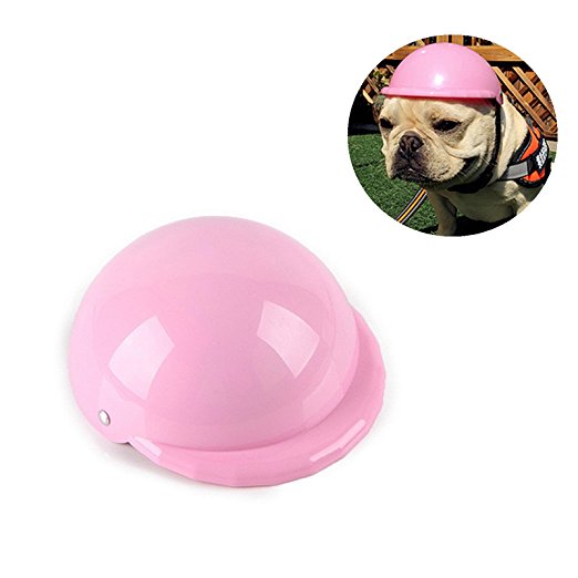 dog cap4.jpg