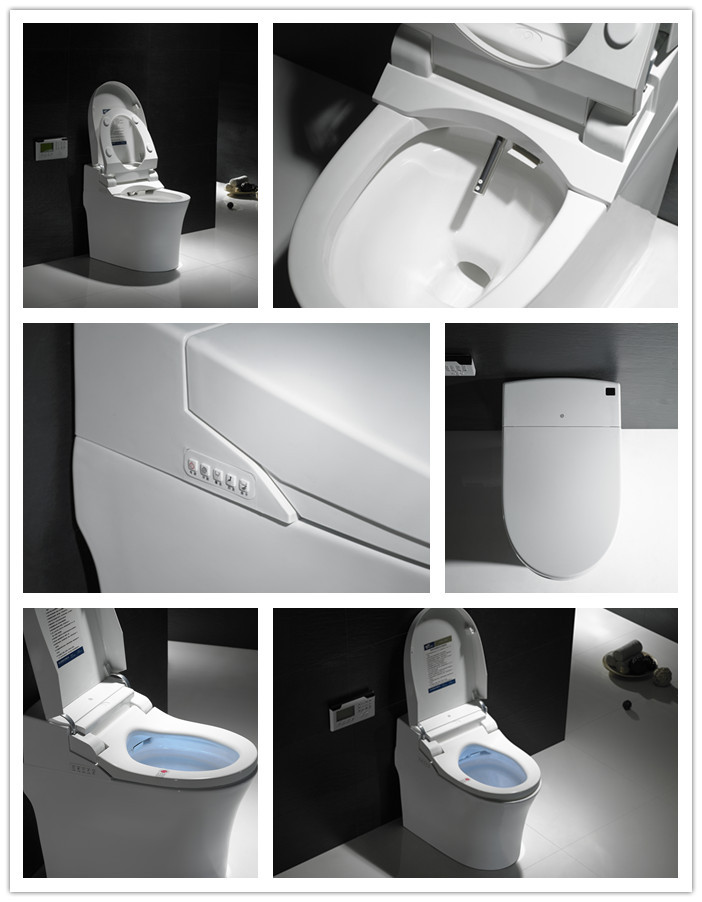 新製品の豪華なバスルームのデザイン2015スマートトイレ水槽ません仕入れ・メーカー・工場