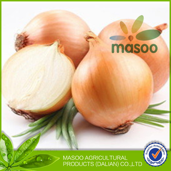 2014 New Crop High Quality Shandong Fresh Yellow Onion