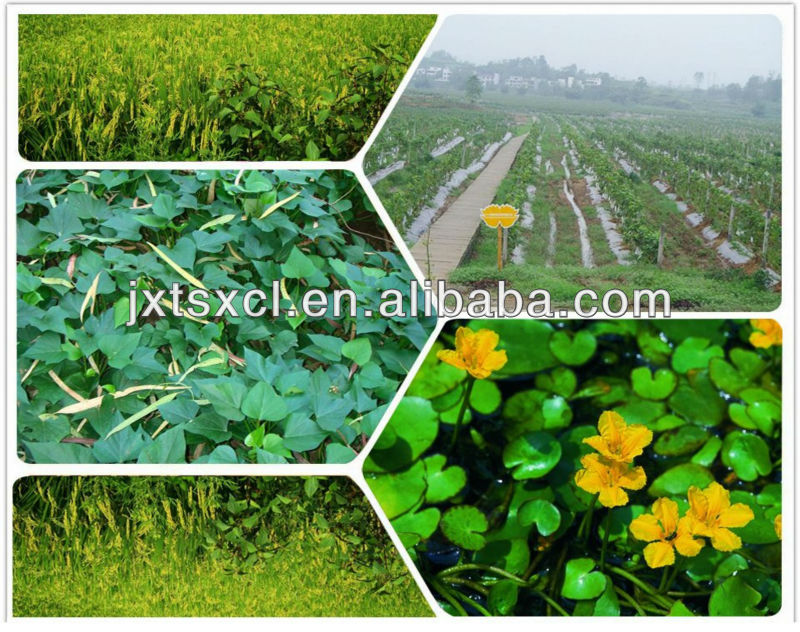 Tank Mixing Adjuvant Pesticides,Herbicides,Fungicides Wetting Agent Qs