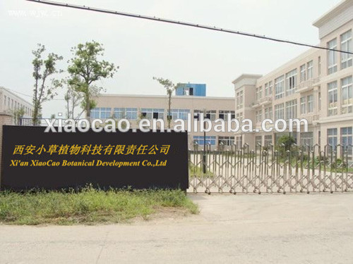 high quality natural Cocoa powder manufacturer