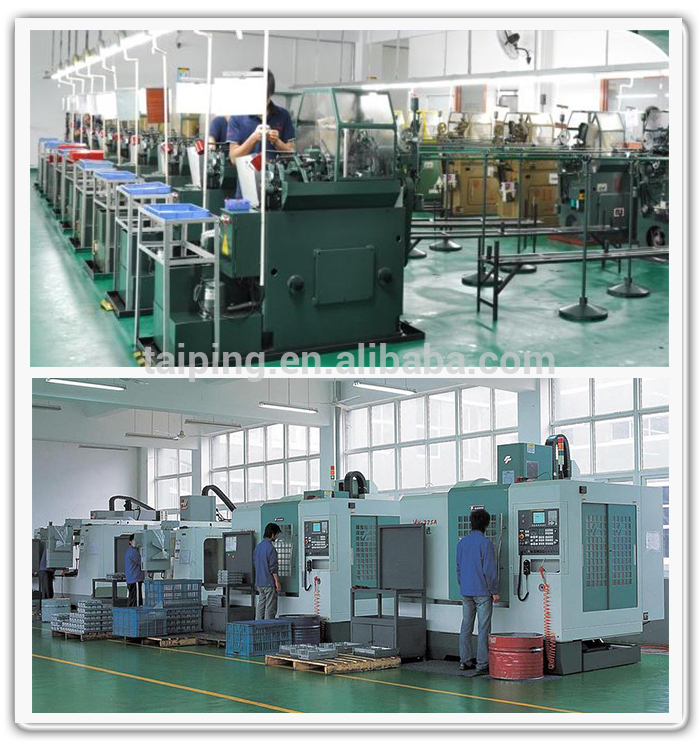 中国工場供給の頭部装飾的なステンレス鋼304ラウンドナットとボルト仕入れ・メーカー・工場