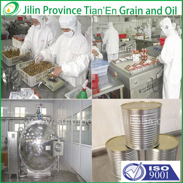 New Canned red kidney beans with high quality in China