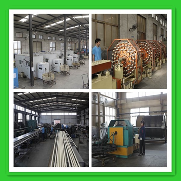 plant2.jpg