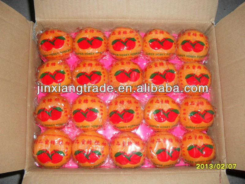 2014 newest fresh mandarin orange in china