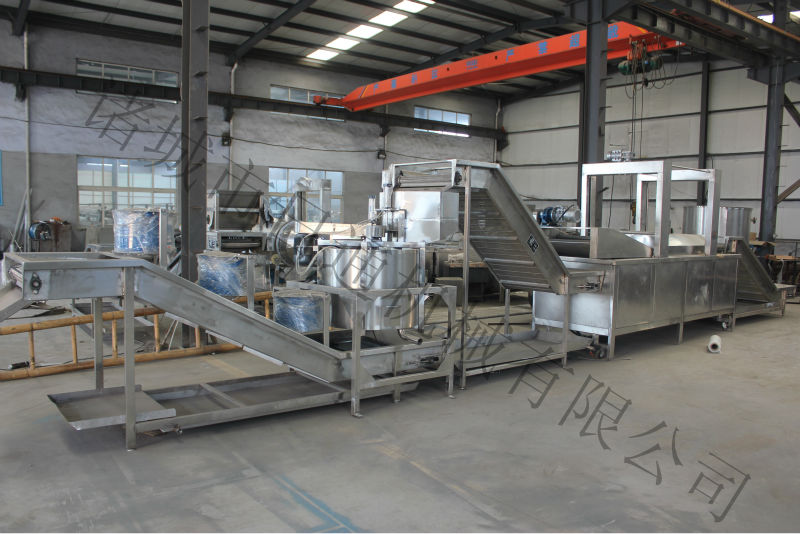 Automatic Continuous Frozen French Fries making machine and Production Line