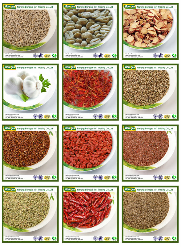 Pure saffron price new crop /Safflower