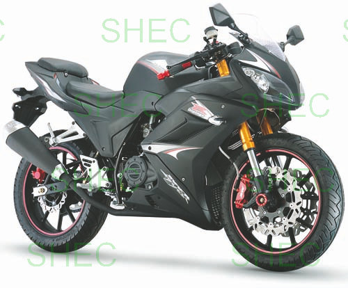 2014_new_powerul_150cc_200cc_250cc_racing.jpg
