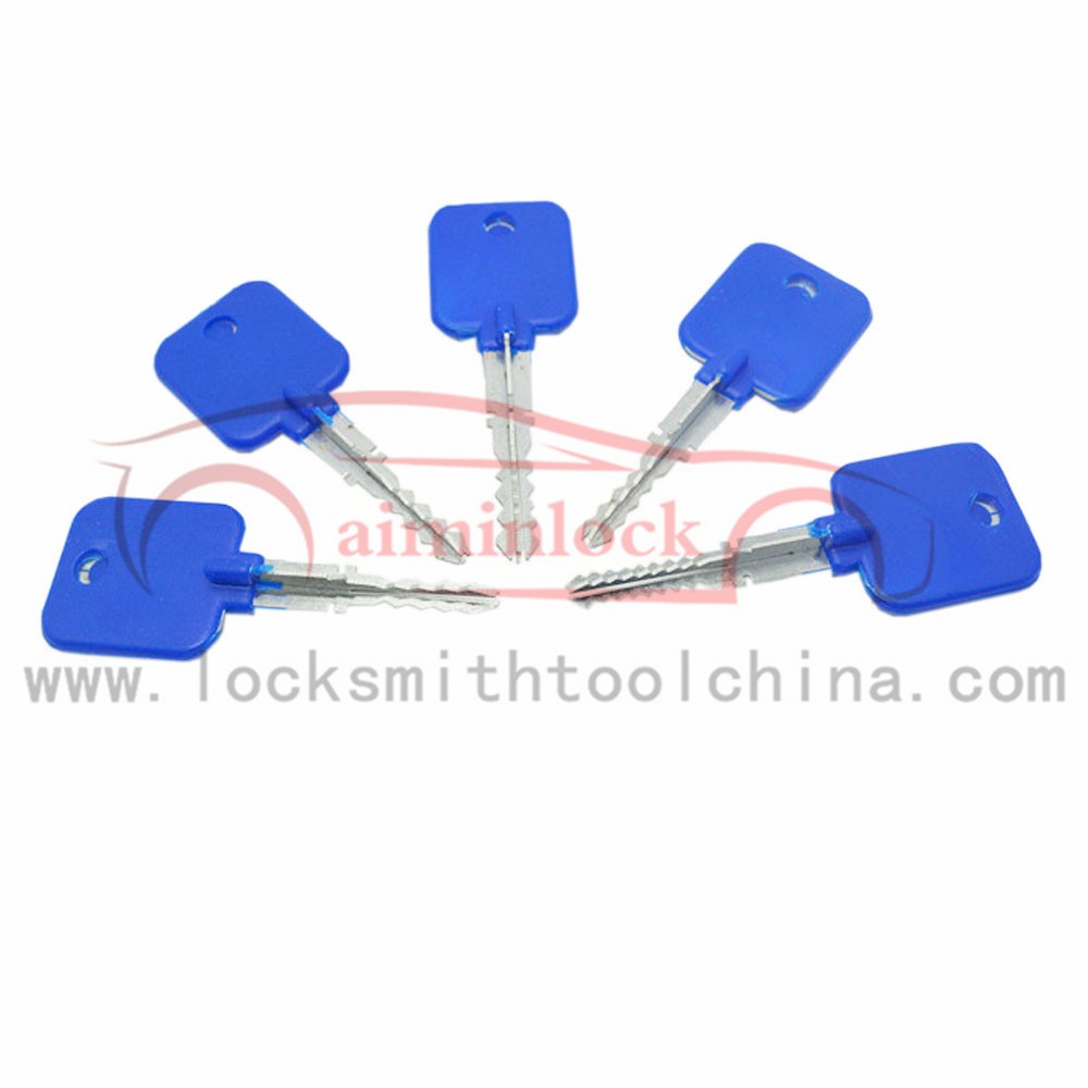 AML20036 Lock Cylinder Model 5-Piece Loct Pick Set + AML20189 Transparent Practice Cross Padlock