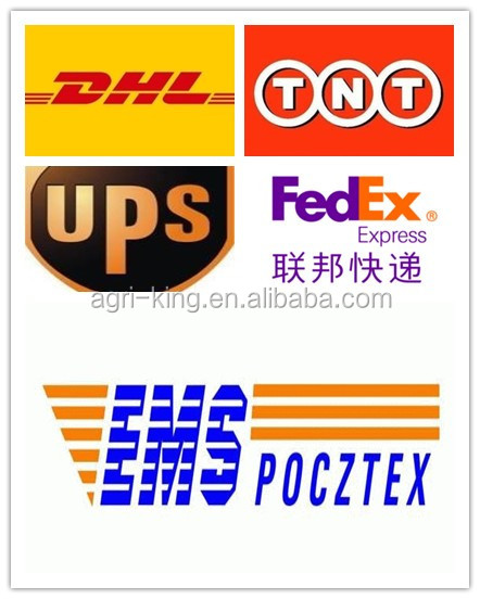 2014 Chinese new IQF & Frozen onion exporters