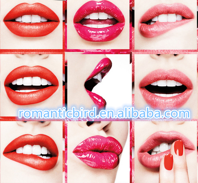 Romantic Bird Lipstick With Matte Lipstick And Waterproof For Lips ...