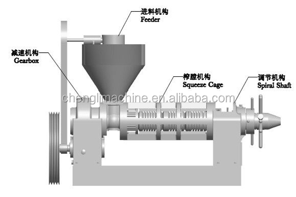 palm fruit oil pressing machine process.jpg