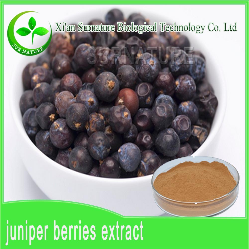 gmp supply juniper berries powder/ juniper extract