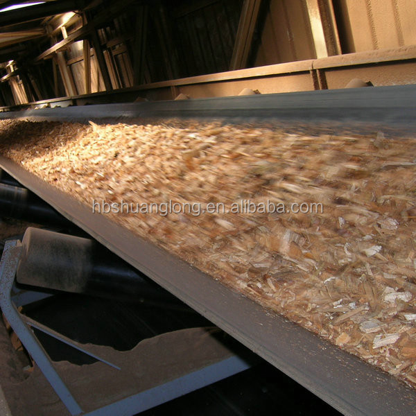 Importers Nylon Fabric Conveyor 11