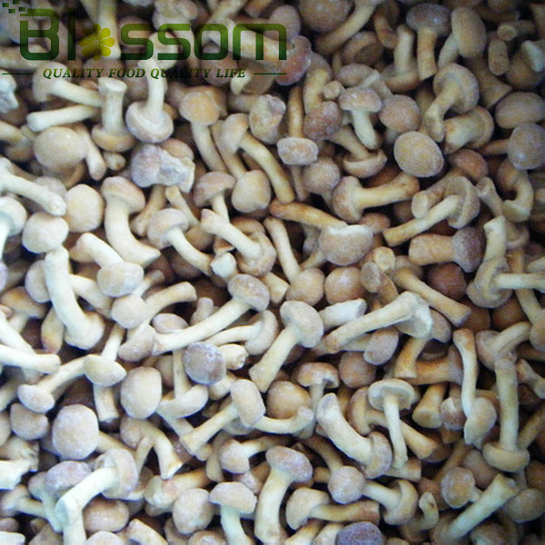 Top quality vegetable natural frozen nakemo mushroom names all mushrooms
