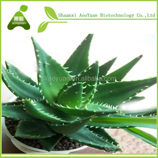 aloe vera lychee juice