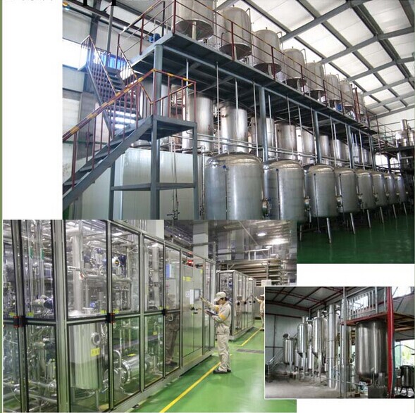 Cocoa extract theobromine