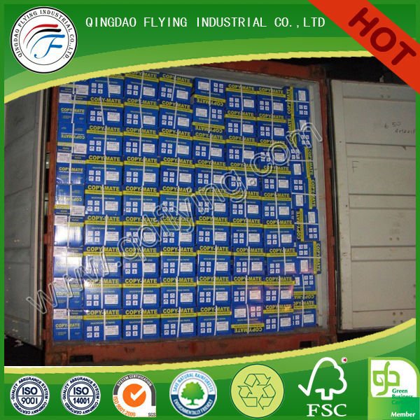 p1.jpg