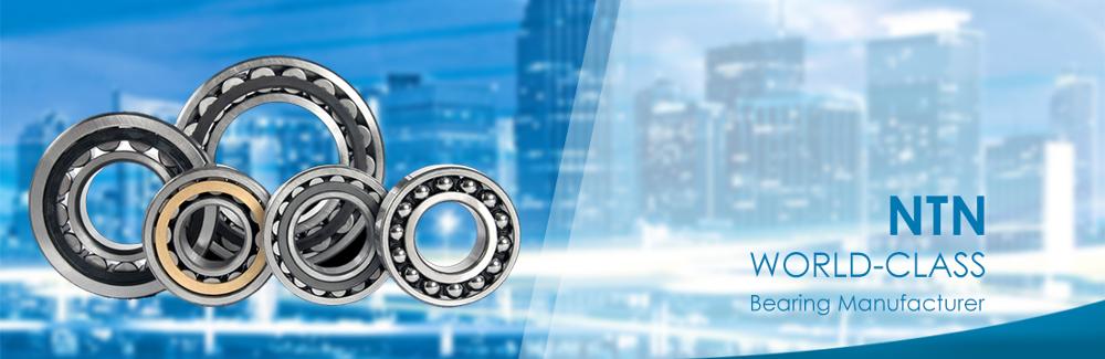 NTN BEARINGS