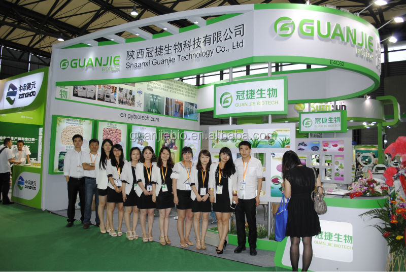 Natural Soybean Protein Powder Non-GMO Soybean Protein Powder