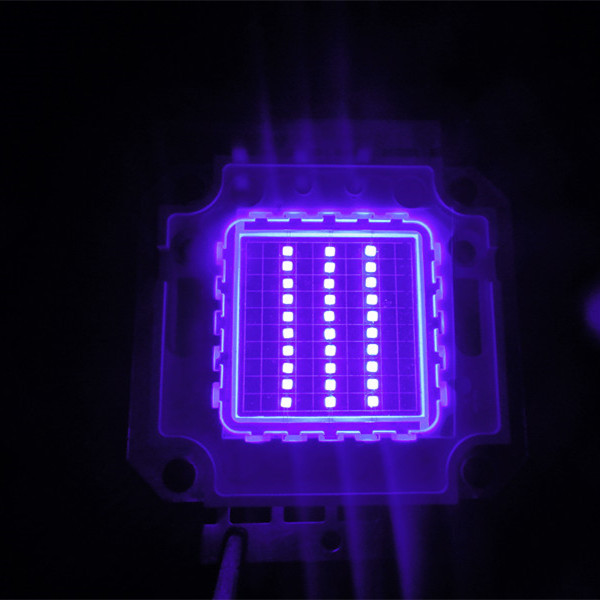 30W Uv Led 420nm Ultraviolet Light Source Chip