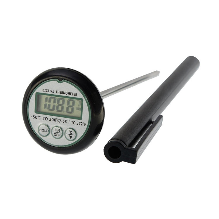 Talking Cooking Thermometer