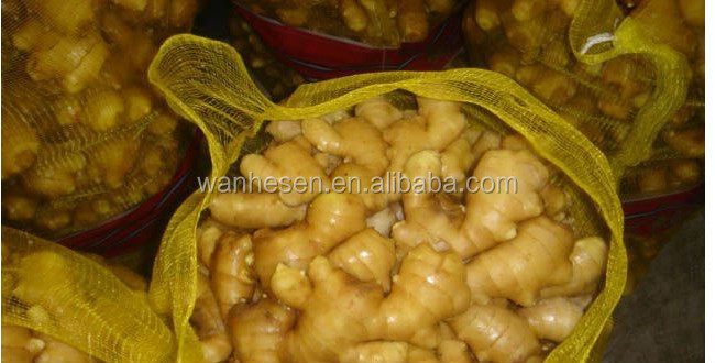 cheap price ginger, fresh ginger, half dry ginger -air dry ginger