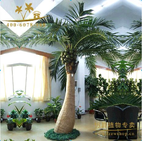 lxy082401 zimmerpflanzen zuhause dekorative kokospalme lxy082401 zimmerpflanzen zuhause dekorative kokospalme