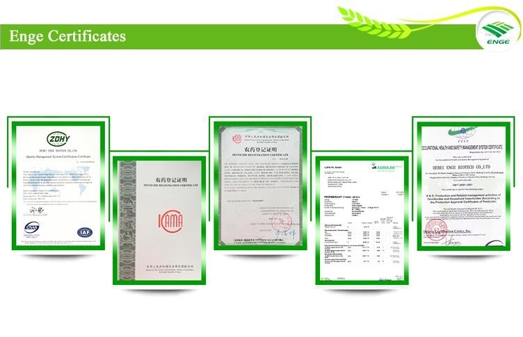 Enge 7 certificates