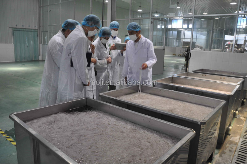 Konjac noodle dry 100%