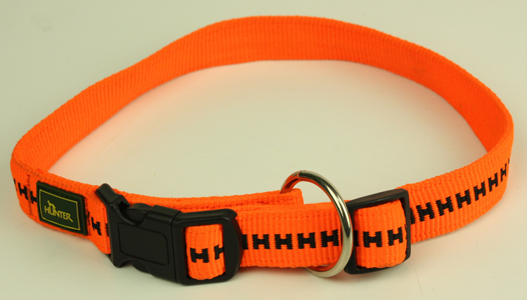 71551345-pet belt 05