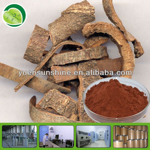 cinnamon polyphenol chinese herbal plant extract ceylon cinnamon powder
