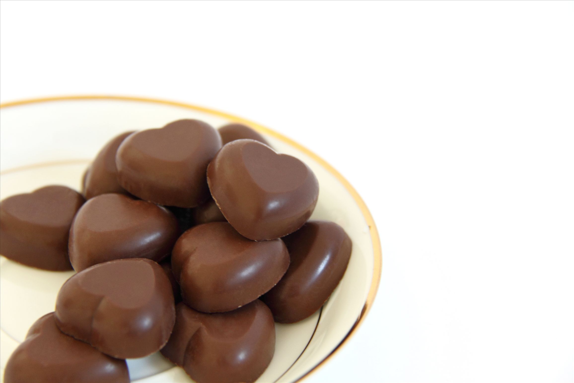 Pure Natural cocoa extract powder, cocoa beans extract, cocoa extract