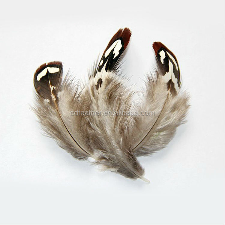 安い茶色リーブスキジキジの羽の販売のための羽仕入れ・メーカー・工場